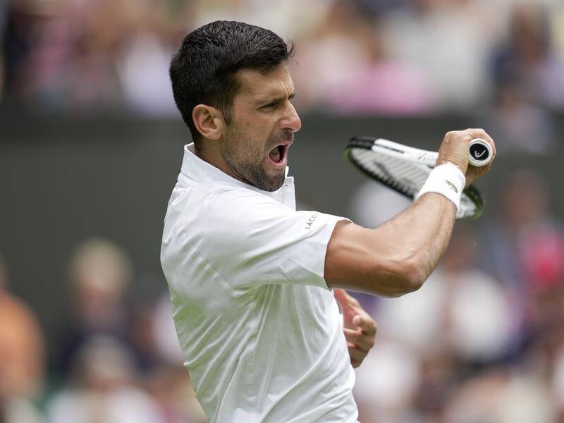 Novak Djokovic has removed Pedro Cachin from his path towards the Wimbledon finals. (AP PHOTO)